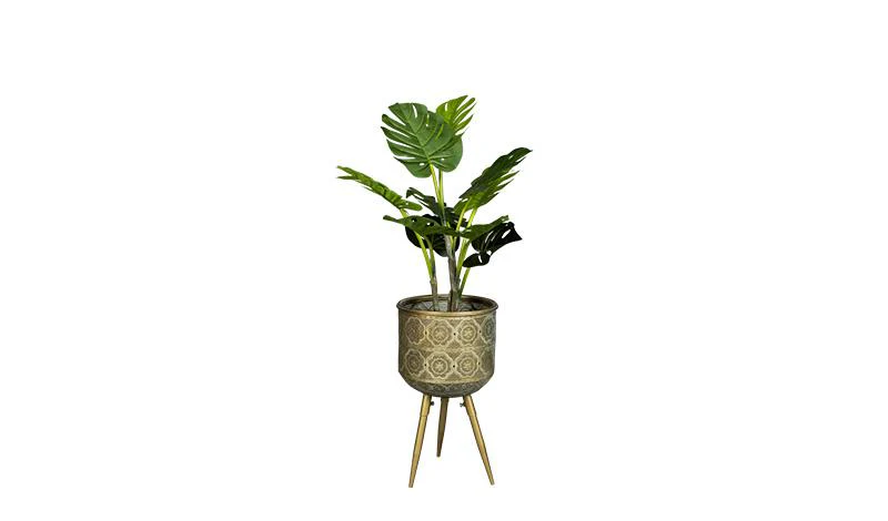 Botanique Medium Plant Stand - Image 4